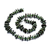 Natural Seraphinite Beads Strands G-E569-K02-2
