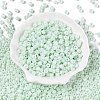 Opaque Baking Paint Glass Seed Beads SEED-T008-02M-2