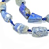 Natural Lapis Lazuli Beads Strands G-G697-E09-01-3