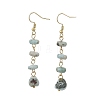Natural Larimar Dangle Earrings EJEW-JE07529-3