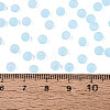 FGB Frosted Transparent Glass Seed Beads SEED-N013-04A-11-4