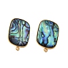 304 Stainless Steel Pave Natural Paua Shell Stud Earring Findings STAS-Z125-08G-2