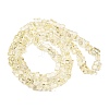 Transparent Glass Beads Strands GL-CBAAE04-01J-4