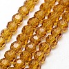 Glass Beads Strands LS-EGLA-J042-6mm-04-1
