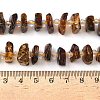 Natural Amber Beads Strands G-F802-A01-01-5