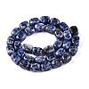 Natural Blue Spot Jasper Beads Strands G-T138-101-2