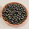 Foam Simulation Olive Model FIND-GF0009-22-6