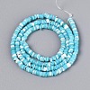 10 Strands 10 Colors Natural Trochid Shell/Trochus Shell Beads Strands SSHEL-N040-21-4