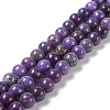 Natural Gemstone Beads Strands G-H269-05B-1