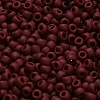 TOHO 6/0 Round Beads X-SEED-TR06-0046F-4