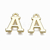 Alloy Charms LS-PALLOY-Q441-025A-NR-2