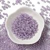 Glass Seed Beads X1-SEED-H002-E-A1421-2