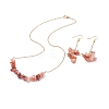 Natural Red Agate Chips Beaded Jewelry Set SJEW-JS01230-04-1