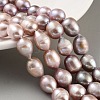 Natural Cultured Freshwater Pearl Beads Strands PEAR-P062-12D-2