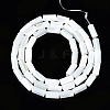 Natural Trochid Shell/Trochus Shell Beads Strands SSHEL-S266-020A-02-2