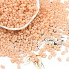 Baking Paint Glass Seed Beads SEED-L011-09A-12-1