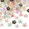 100Pcs Transparent Resin Sakura Flower Bead Caps RESI-TAC0012-20-2