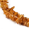 Natural Amber Beads Beads Strands G-Q060-C05-4