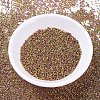 MIYUKI Delica Beads SEED-MY11-DB0507-2