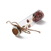Mini Natural Crystal & Stone Beads Wishing Bottles G-C232-05E-2