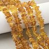 Natural Amber Beads Strands G-L095-D01-02-1