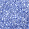 Ceylon Glass Seed Beads SEED-K009-02B-31-3