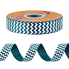 Polyester Ribbons OCOR-WH0120-41A-1