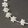 Natural White Shell Bead Caps BSHE-B005-02-3