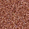 MIYUKI Delica Beads X-SEED-J020-DB1733-3