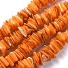 Natural Freshwater Shell Beads Strands SHEL-C001-10-6