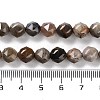 Natural Petrified Wood Beads Strands G-NH0021-A12-01-5