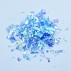 Plastic Candy Sequins/Paillette Chip DIY-I019-02A-2