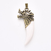 Resin Big Pendants PALLOY-T069-51AB-1