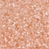 MIYUKI Delica Beads SEED-JP0008-DB0824-3