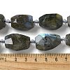 Natural Labradorite Beads Strands G-H095-A11-01-4