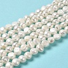 Natural Cultured Freshwater Pearl Beads Strands PEAR-E017-23-2
