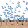 Baking Paint Glass Seed Beads X-SEED-S042-15A-11-4