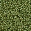 TOHO Round Seed Beads SEED-JPTR11-0946FM-2