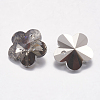 Faceted Glass Rhinestone Charms RGLA-F055-6x6-215-2