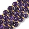 Natural Amethyst Beads Strands G-F809-A32-01-2