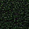 MIYUKI Round Rocailles Beads X-SEED-G008-RR0158F-3