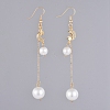 Dangle Earrings EJEW-JE03962-1