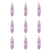 Natural Amethyst Pendants G-CJ0001-43-4