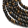 Natural Tiger Eye Beads Strands G-F591-18-8mm-08-6