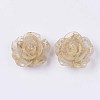 Translucent Resin Cabochons LS-RESI-S364-45C-1