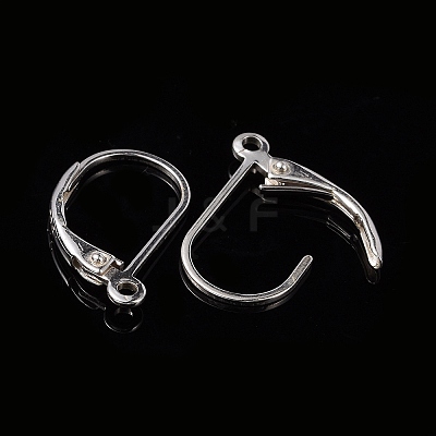 925 Sterling Silver Hoop Earrings X-STER-P032-06S-1