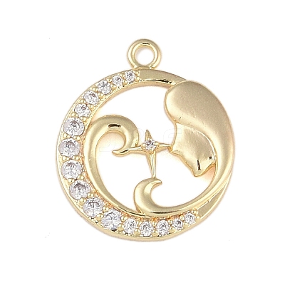 Brass Micro Pave Clear Cubic Zirconia Pendants FIND-B077-02G-09-1