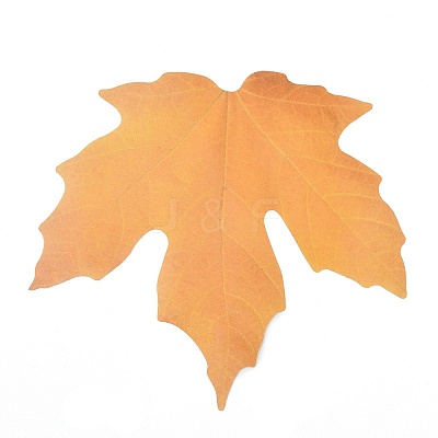 50Pcs Maple Leaf Theme Paper Stickers STIC-P017-C02-1