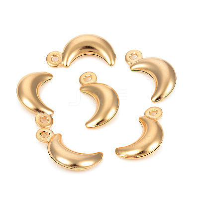 304 Stainless Steel Charms STAS-L244-17G-1