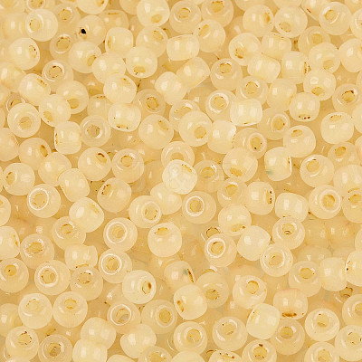 6/0 Transparent Inside Colours Glass Seed Beads SEED-N008-08N-1